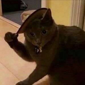 Meet your Posher, Ben